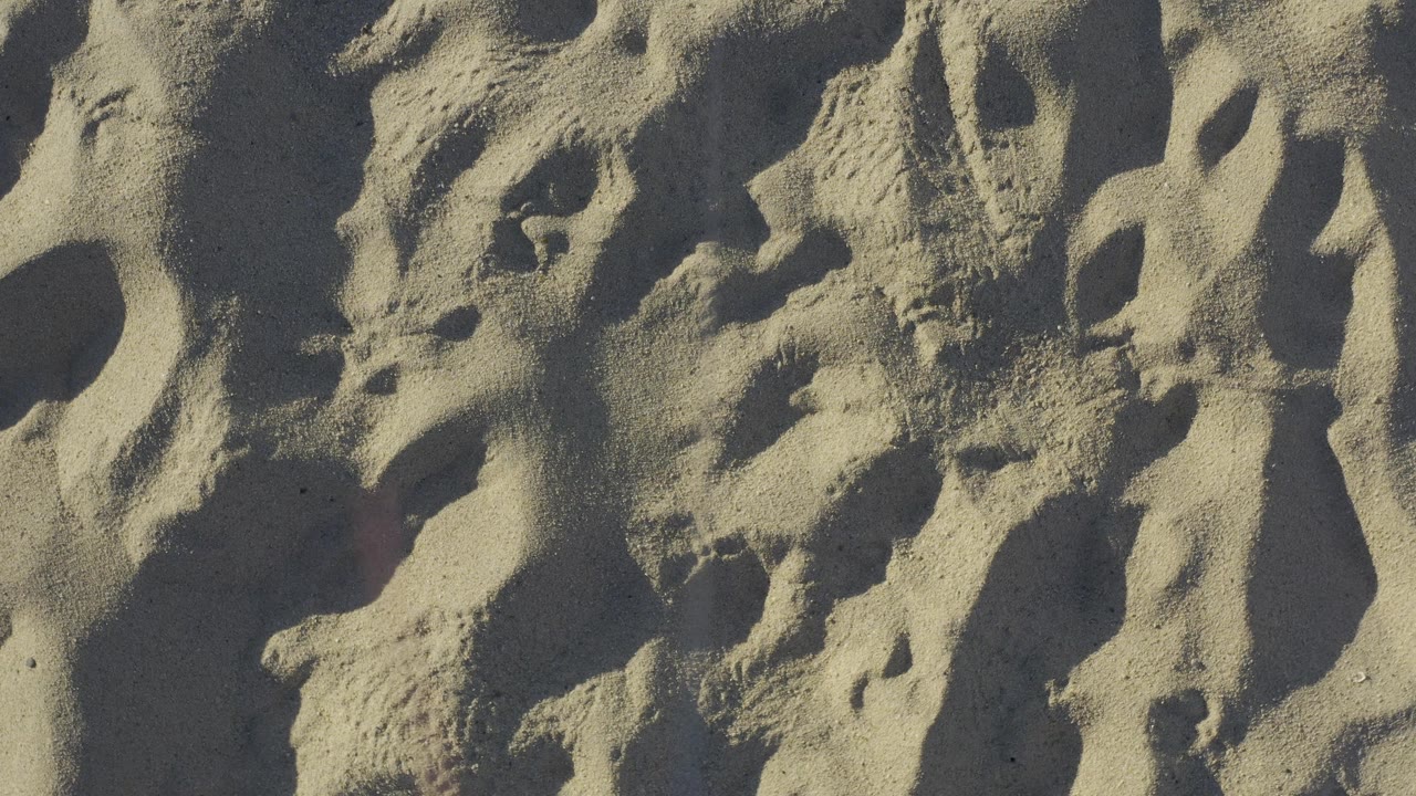 A tight downward view shows uneven beach sand and footprint marks in Baja California Sur, Mexico, with no visible people.