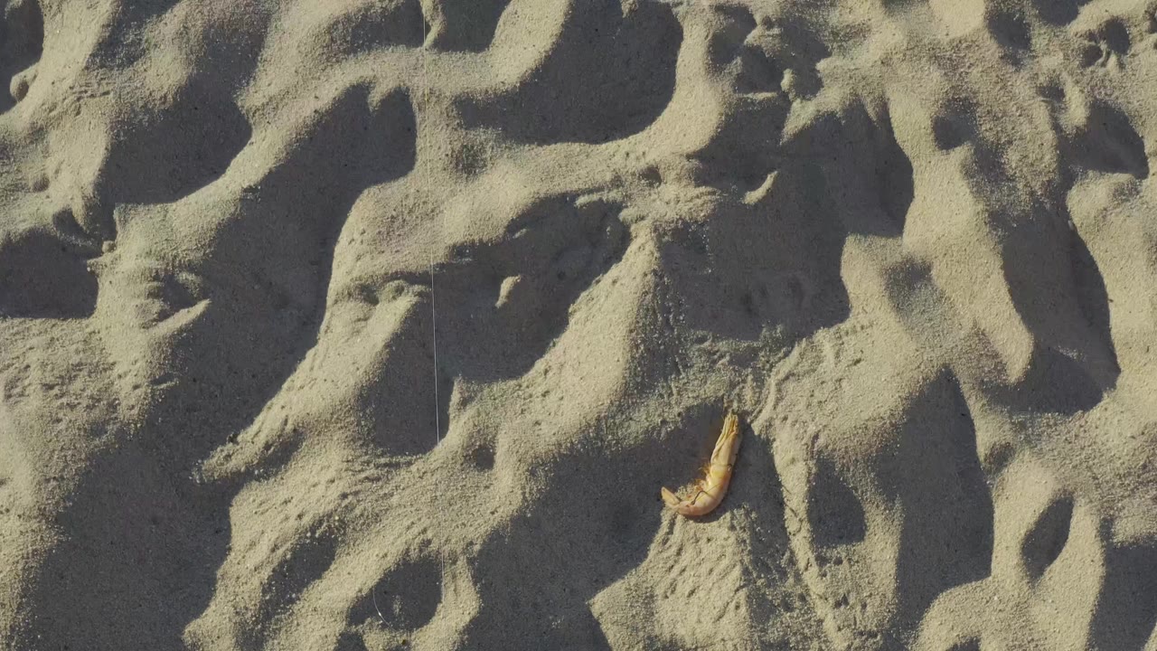 Close Baja California Sur beach sand fills the frame, marked by small ridges, shadowed footprints or wind patterns, and a small dry leaf or shell at the right, with no visible people.