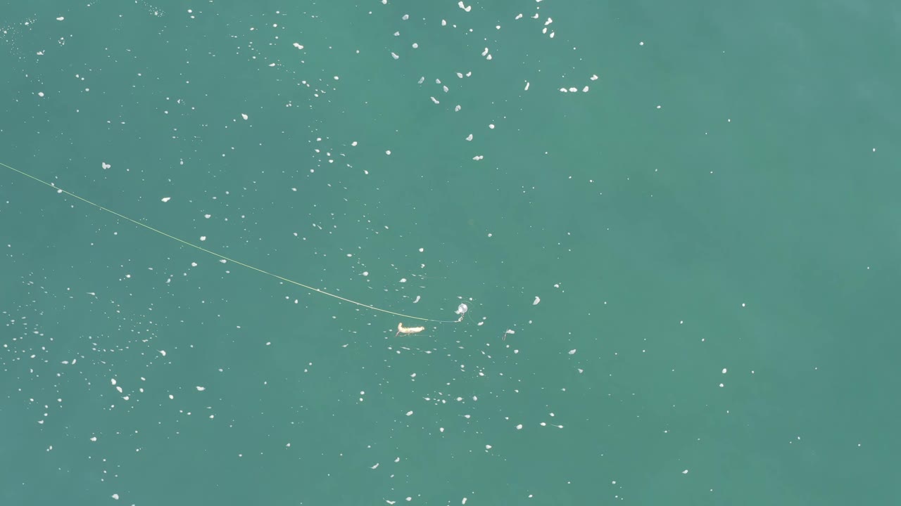 A Baja California Sur overhead water view shows the fishing line stretching across the frame toward a pale lure, with scattered white sun reflections and no visible people.