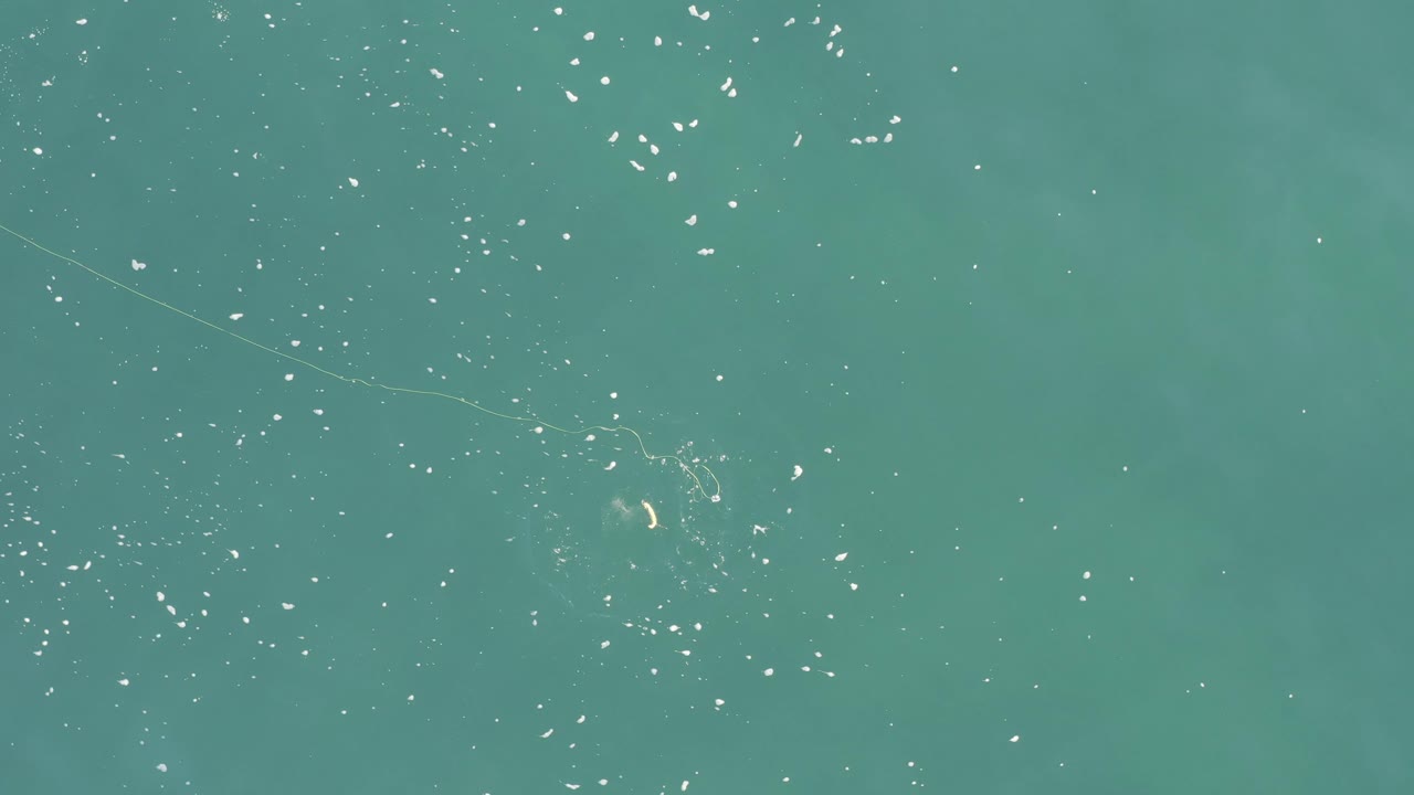 Open blue-green water with fishing line, lure, and scattered sun reflections.