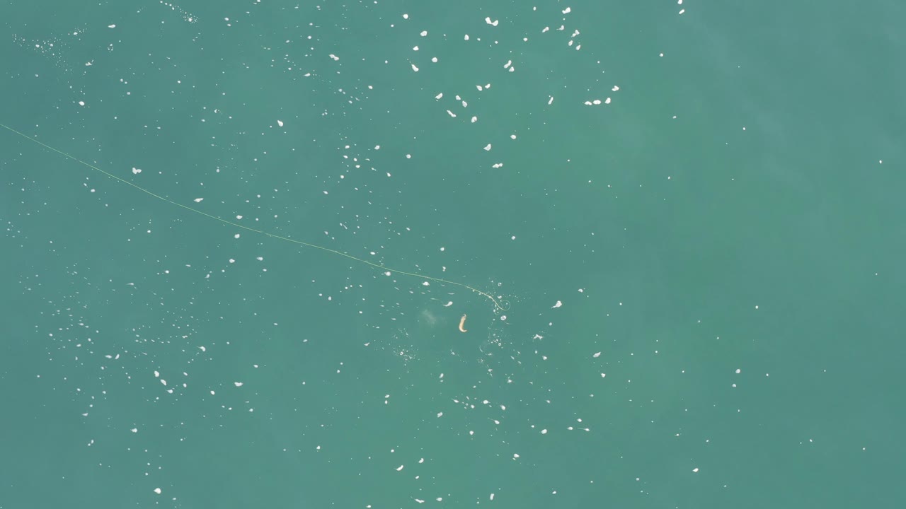 Top-down Baja California Sur ocean view with small bright fish-like marks scattered across teal water and faint linear traces under the surface, no visible people.
