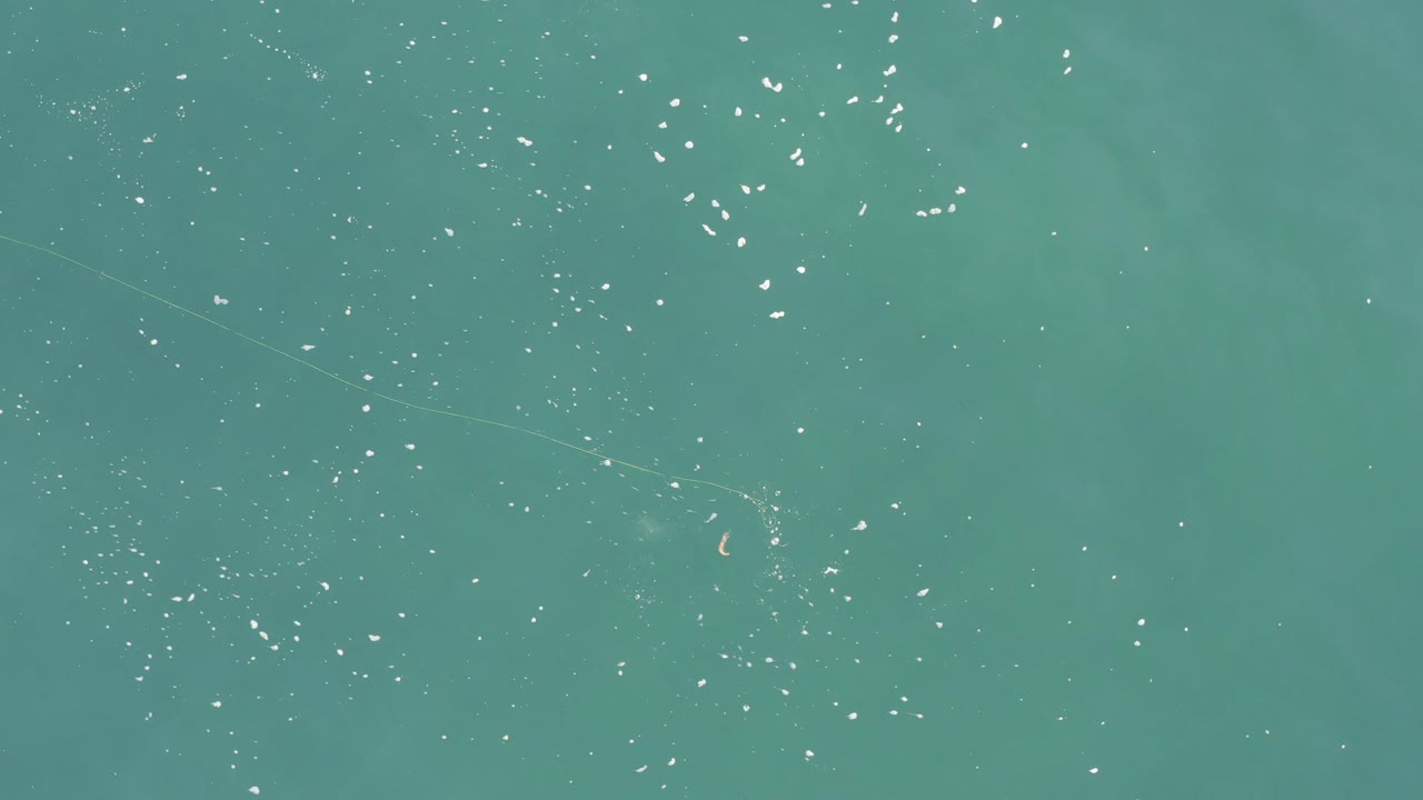 Overhead view of turquoise ocean in Baja California Sur Mexico with scattered white surface glints, faint underwater color shifts, tiny fish-like marks, and no visible people.
