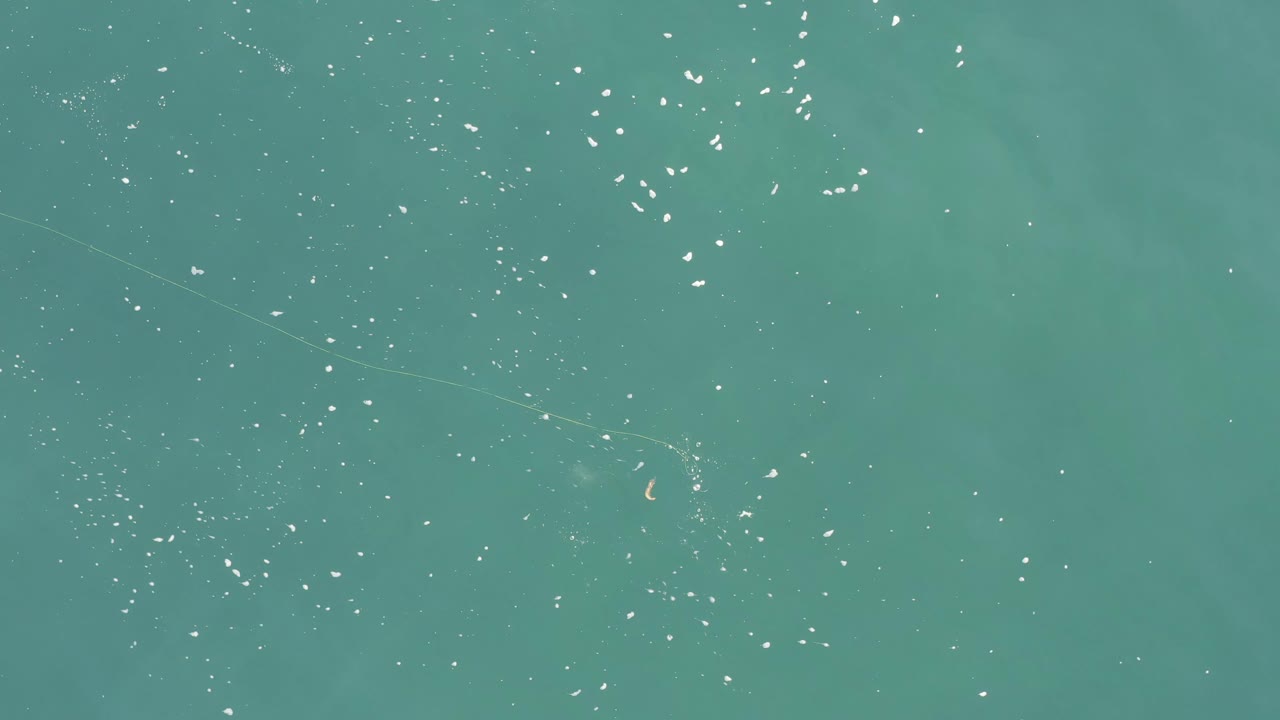 Second overhead frame of Baja California Sur Mexico ocean showing clustered sun glints across turquoise water, subtle darker patches below the surface, small fish-like traces, and no visible people.