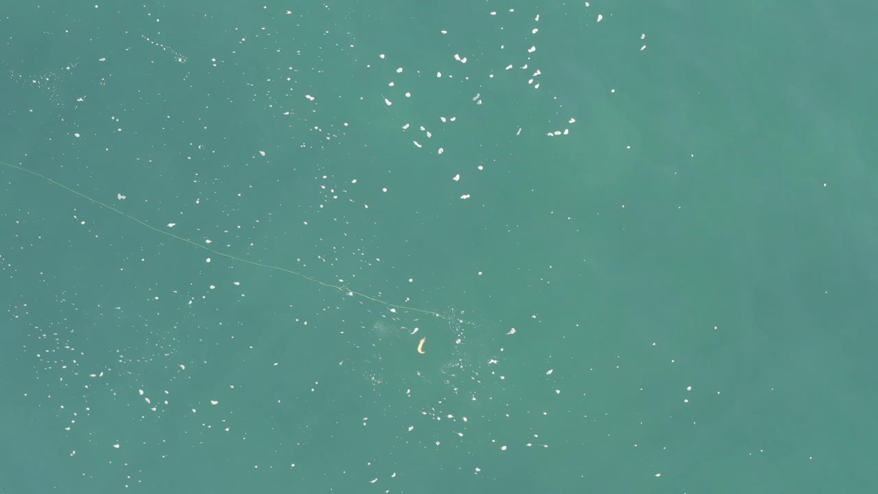 Overhead Baja California Sur Mexico water frame with open turquoise color, scattered sparkle, a few tiny fish-like marks near the upper and lower areas, and no visible people.