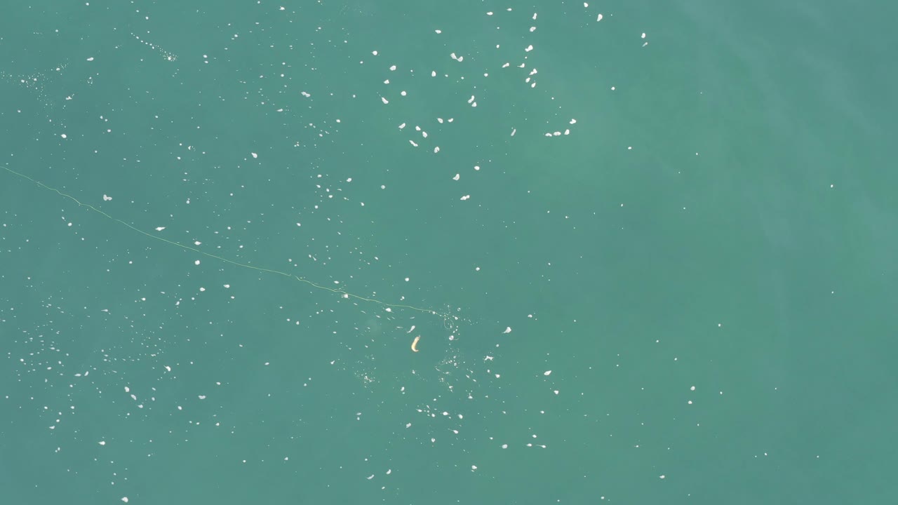 Aerial ocean view with dense white glints and pale underwater patches.