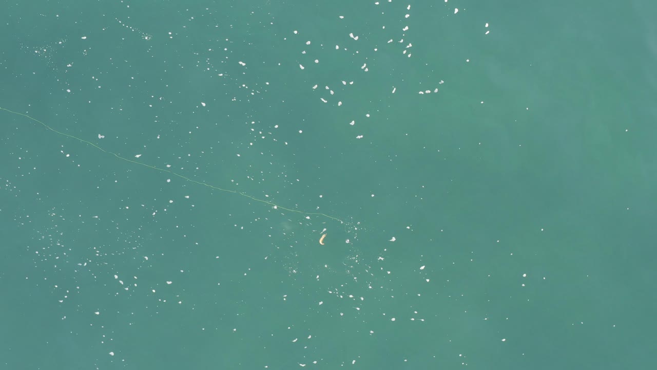 Top-down view of green-blue water in Baja California Sur, Mexico, with scattered white specks, faint surface lines, and no visible people.