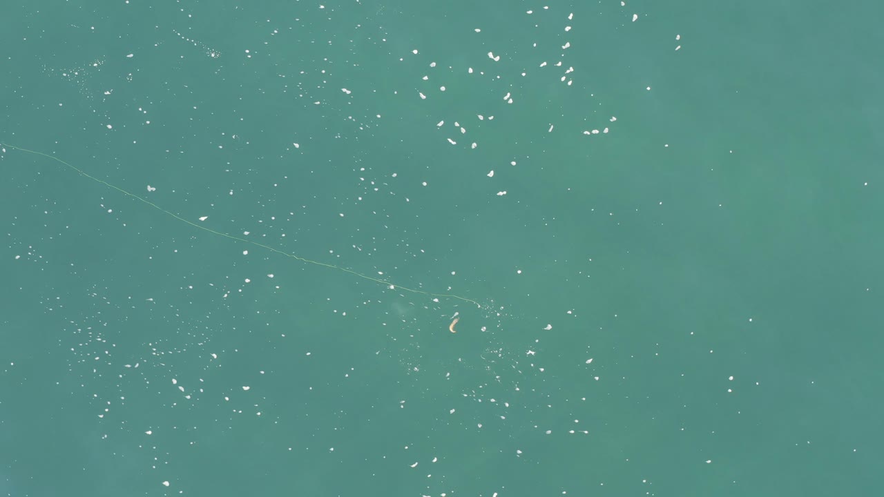 Overhead Baja California Sur water surface with fine white specks, a small tan floating object near the center-left area, and no visible people.