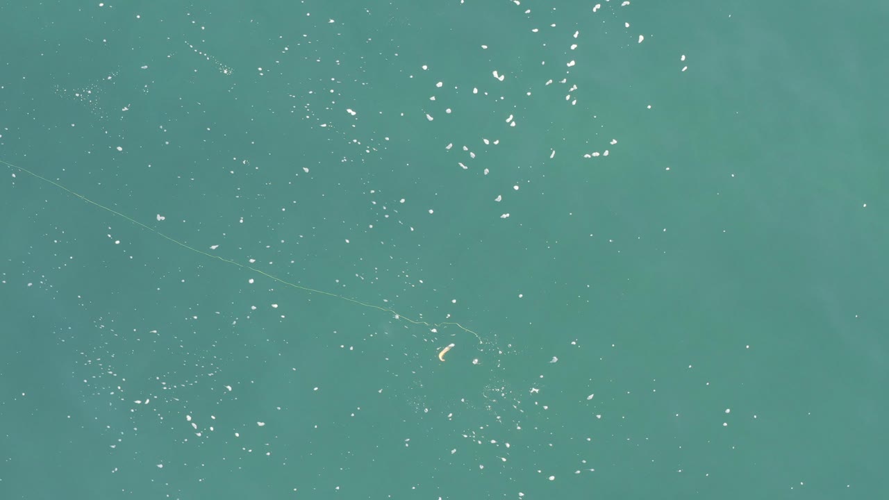 Overhead view of turquoise sea in Baja California Sur, Mexico, with scattered white surface flecks, faint pale streaks, and no visible people.