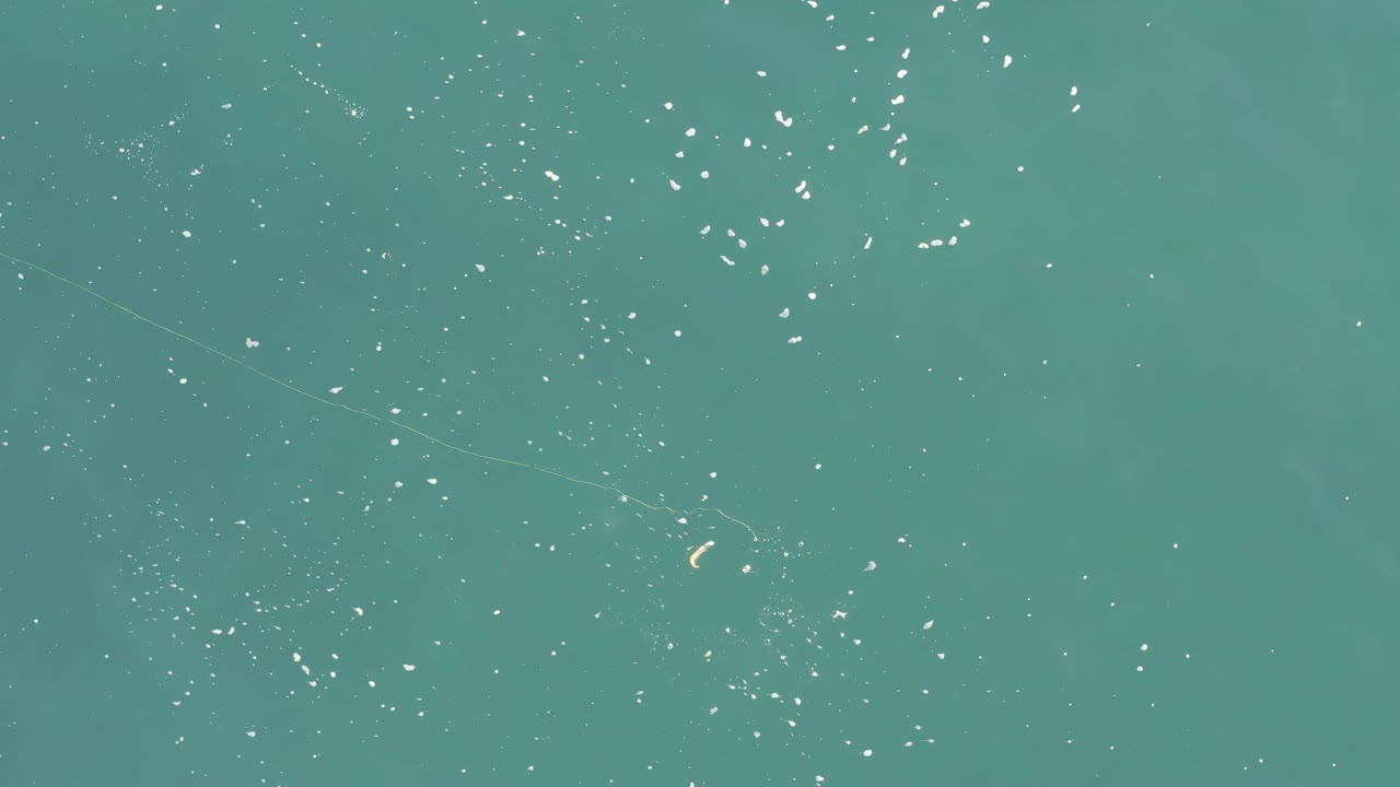 Flat blue-green water with white specks and a small tan floating object.