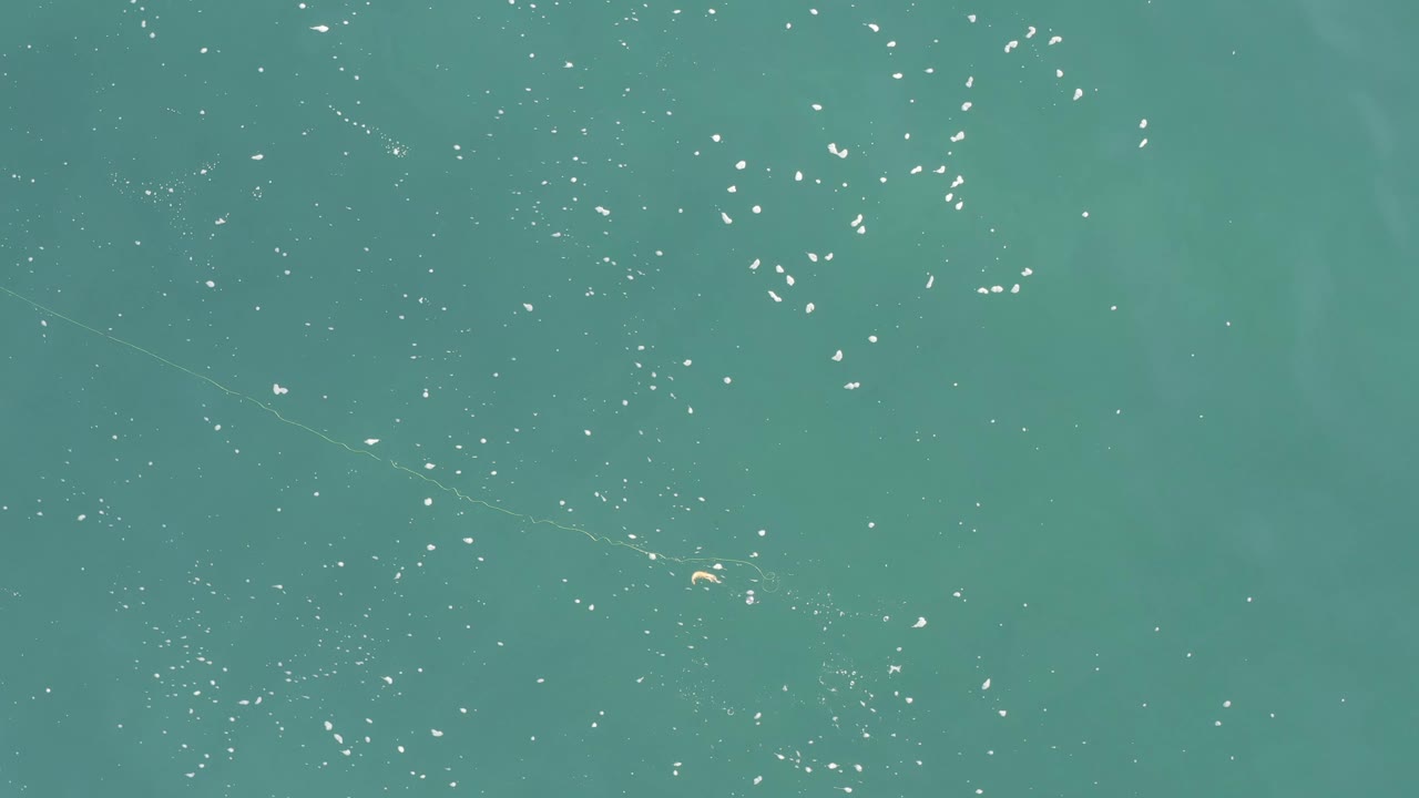 Calm green-blue water with white flecks and faint ripples.