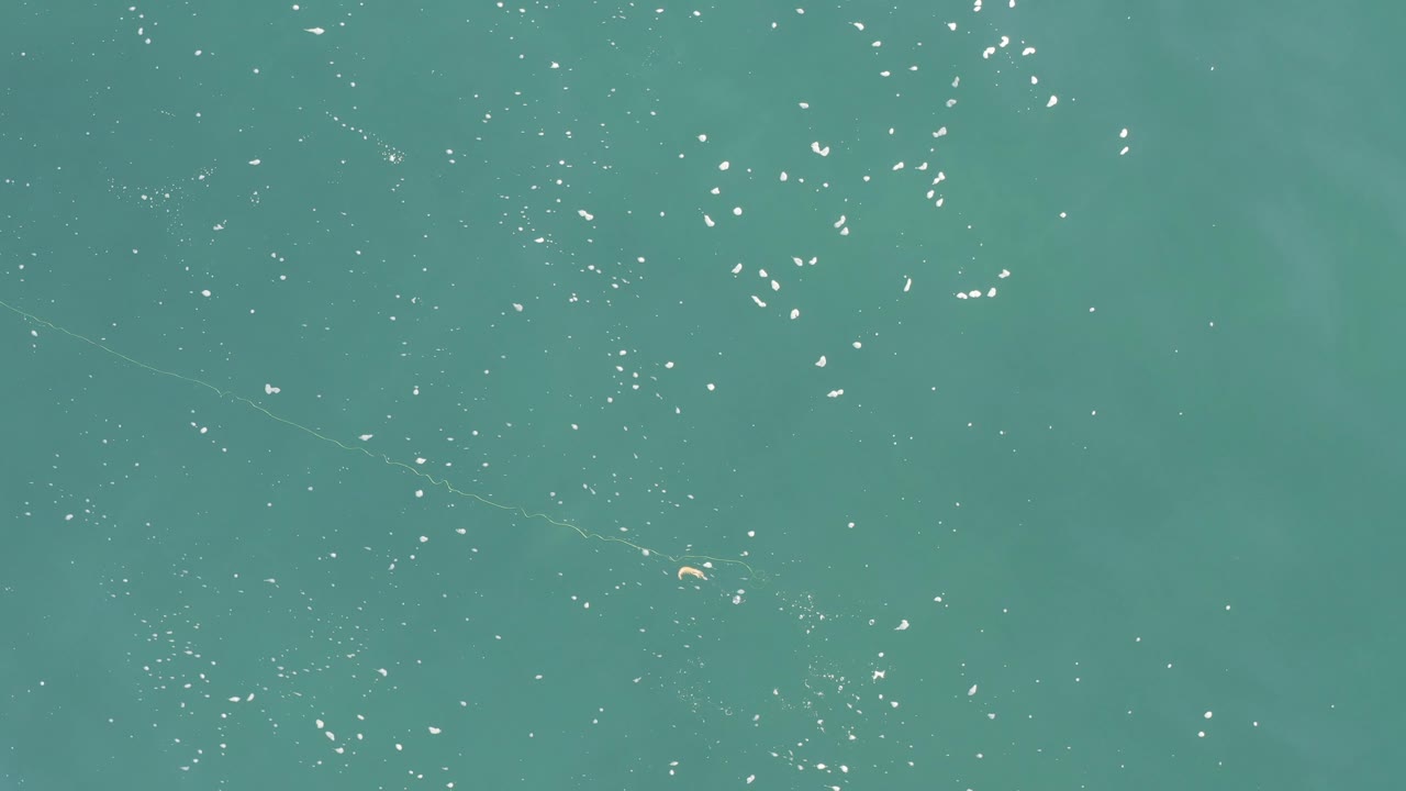 Top-down teal water in Baja California Sur, Mexico, shows scattered floating debris, bright sun reflections near the top, and no visible people.