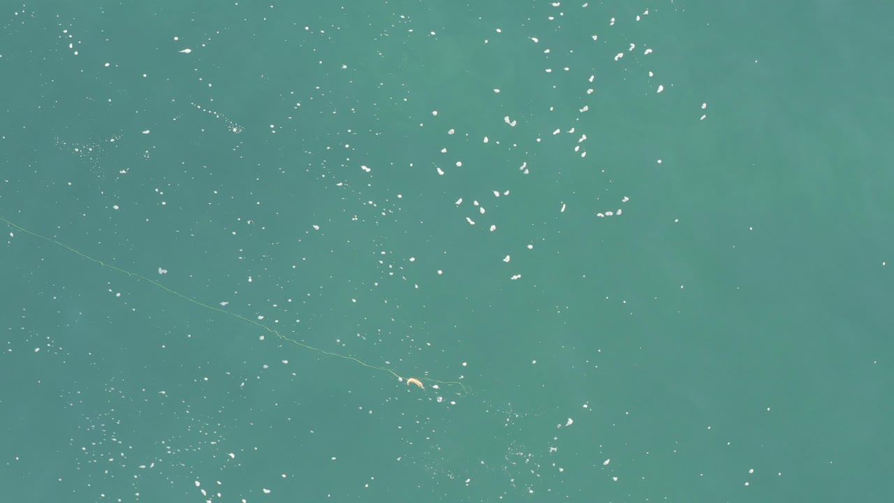 Overhead view of blue-green water in Baja California Sur, Mexico, with scattered white specks on the surface and no visible people.