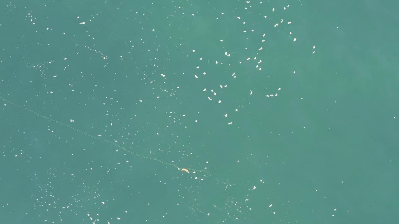 Overhead water surface with bright white flecks clustered near the top.