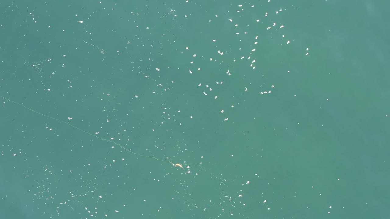 Aerial-style frame of teal ocean water in Baja California Sur with scattered white dots and subtle darker patches below the surface, with no visible people.