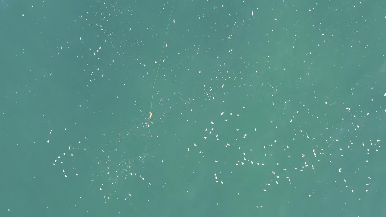 Aerial frame over Baja California Sur water with a wider scatter of white specks across the upper area and no visible people.