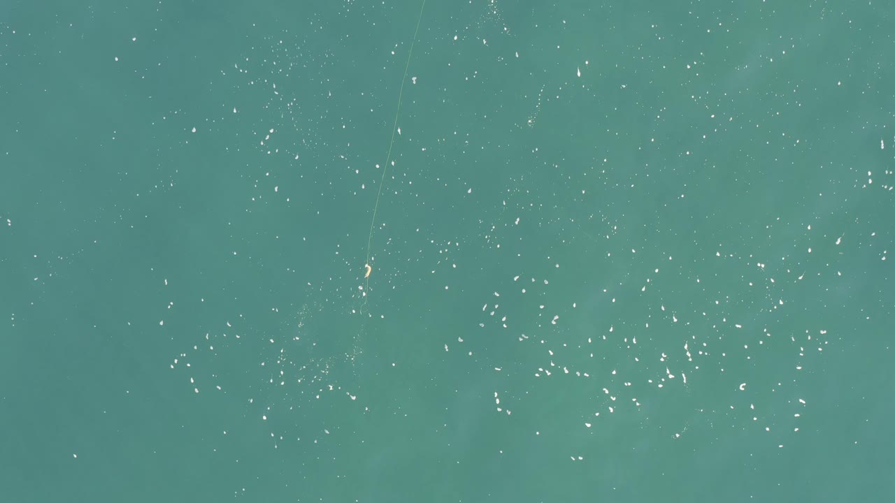 Top-down Baja California Sur ocean view with clustered small white marks near the center and upper frame, with no visible people.