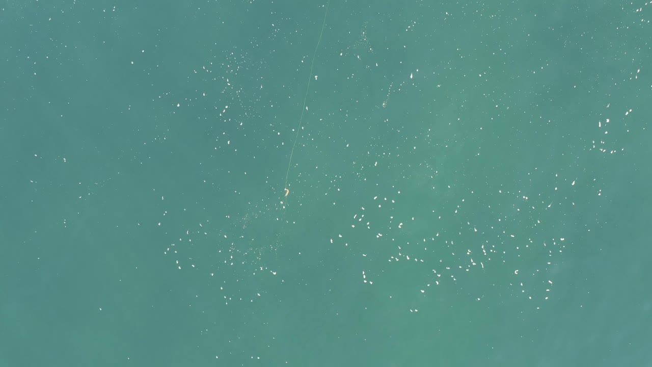 Aerial ocean surface with white flecks and a tiny white object