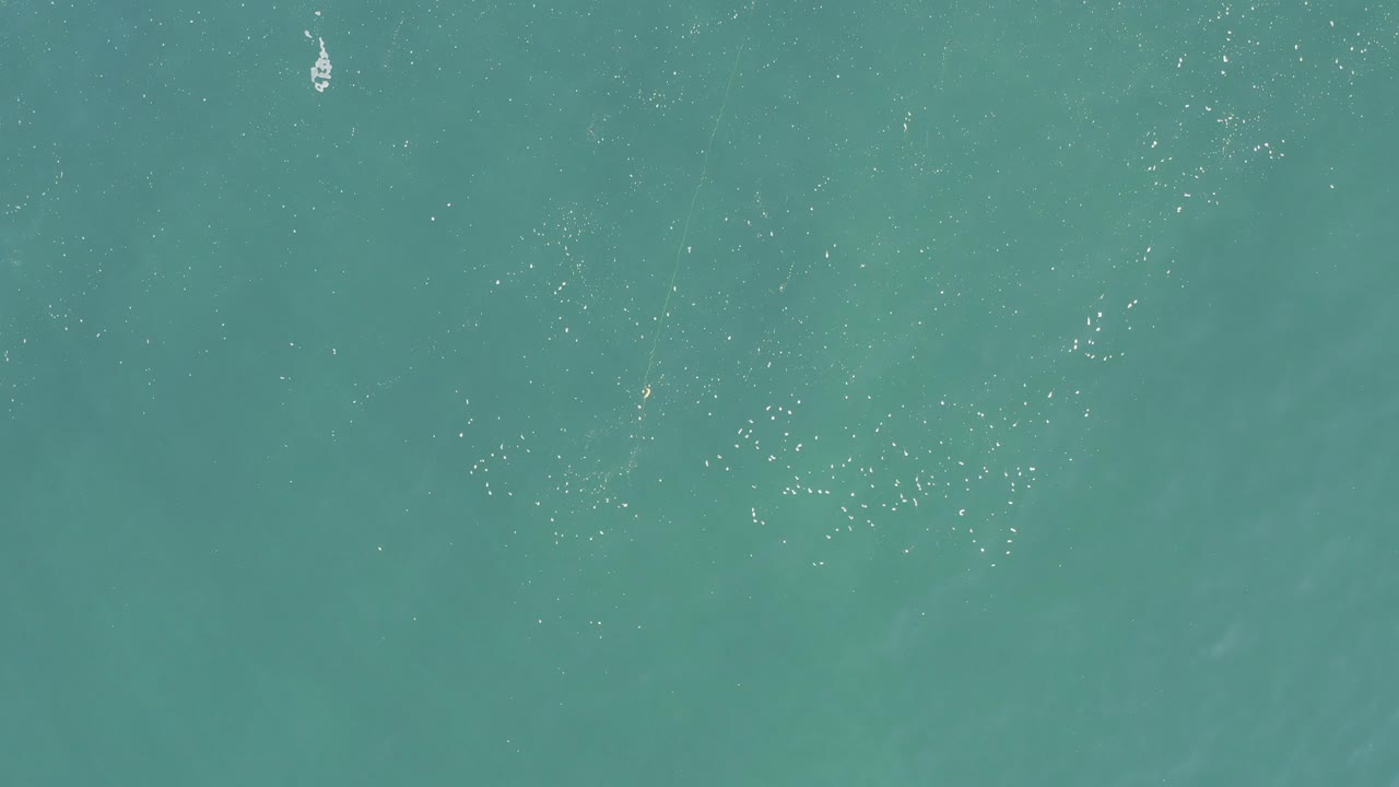 Top-down turquoise ocean with small white surface flecks.