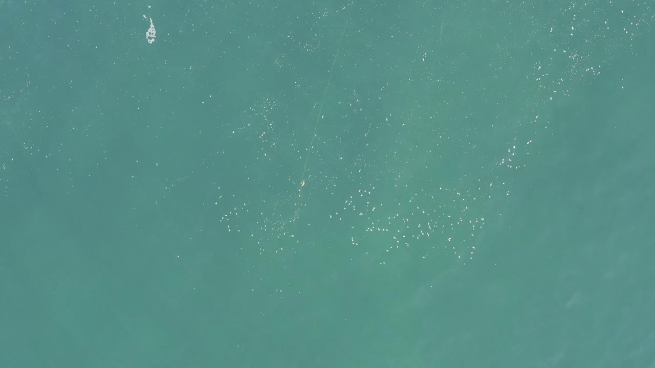 Aerial frame of blue-green water in Baja California Sur, Mexico, with faint darker shapes beneath the surface and no visible people.