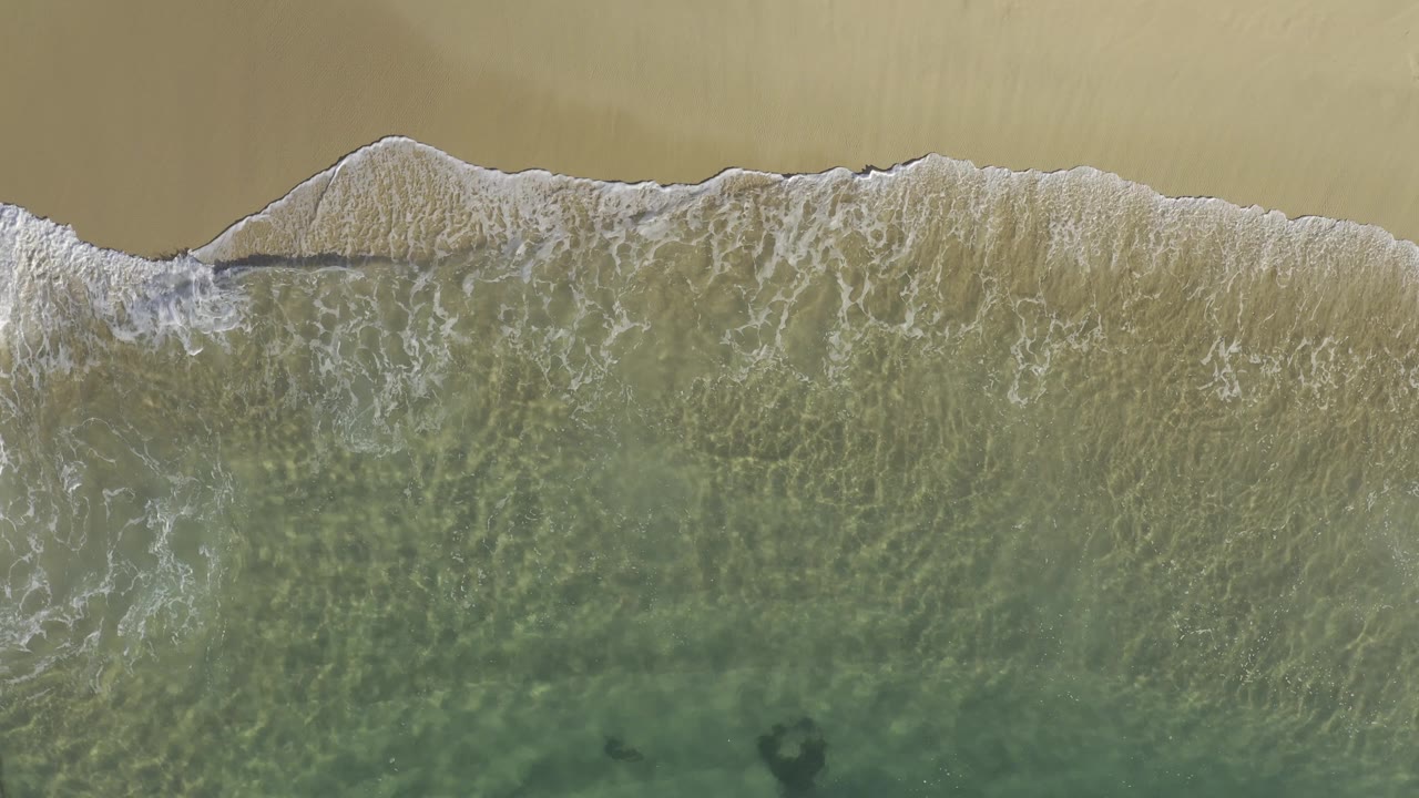 Top-down aerial frame in Baja California Sur, Mexico, showing a white wave line crossing wet golden sand with no visible people.