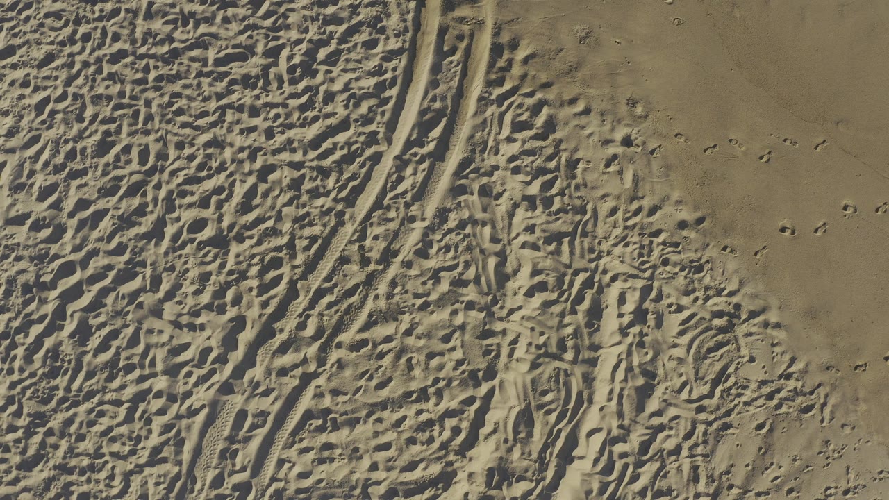 Overhead view of tire tracks and footprints in tan beach sand.