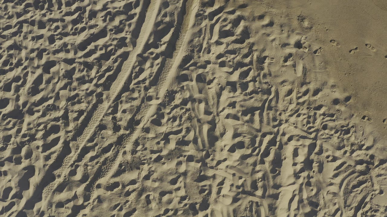 Sunlit sand ridges and track lines from above.