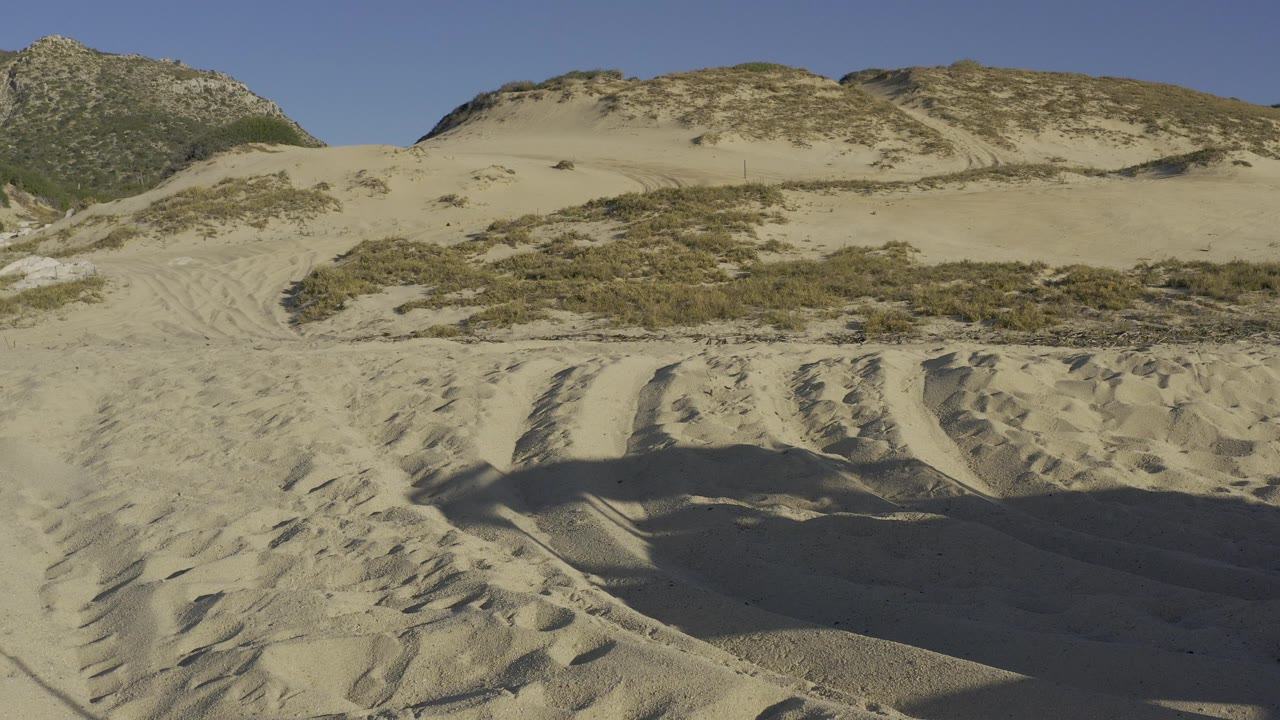 Baja California Sur sand dunes with low desert brush, pale rippled sand in front, blue sky above, and no visible people.
