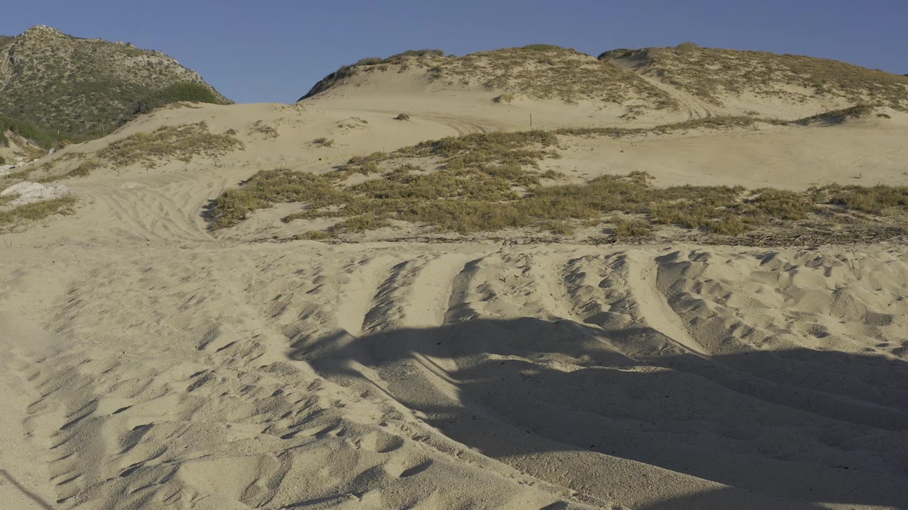 Pale dune slope with scrub and sand tracks