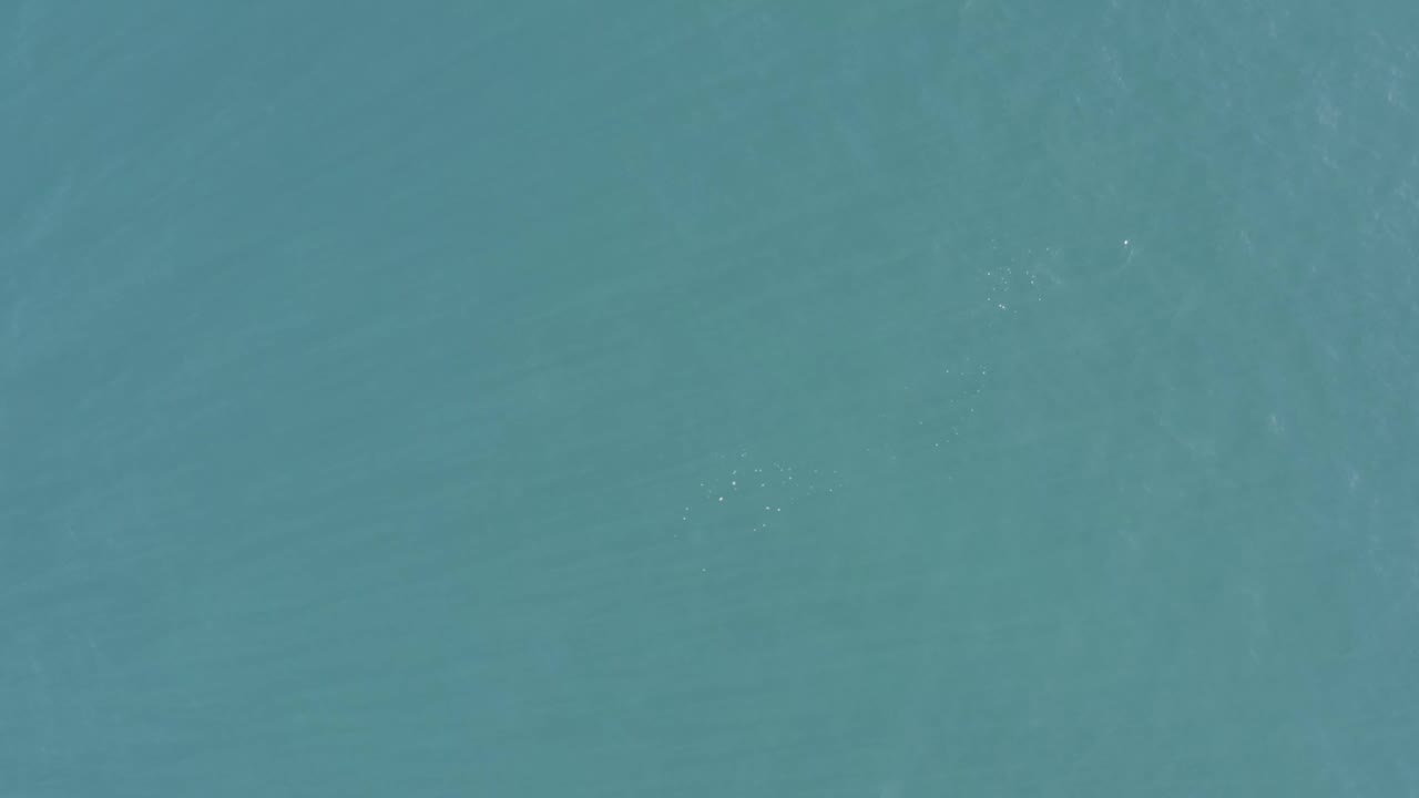 Teal ocean surface filling the frame