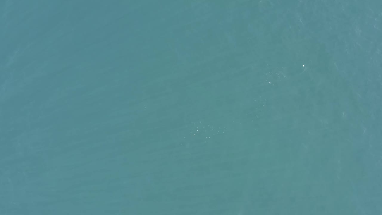 Clear blue-green sea water in Baja California Sur, Mexico, fills the frame with light ripple patterns and no visible people.