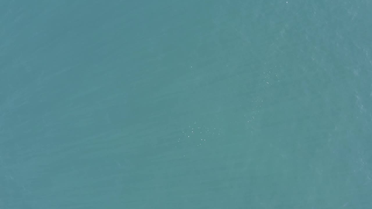 Top-down view of Baja California Sur ocean surface with faint pale streaks in the water and no visible people.