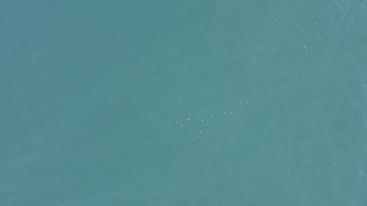 Top-down blue-green water shows faint darker underwater forms that may be needlefish, with no visible people.