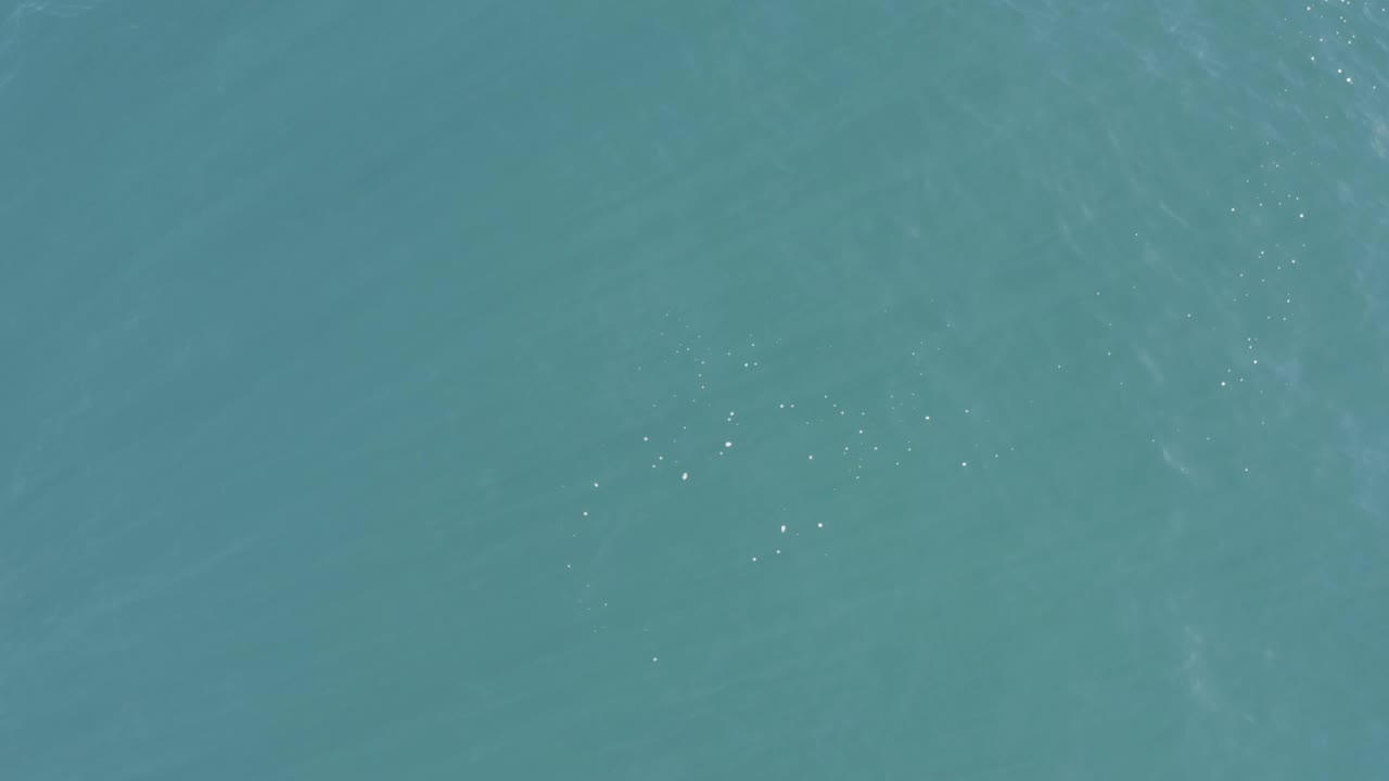 Blue-green sea surface in Baja California Sur, Mexico, with scattered sunlight flecks across a mostly empty frame and no visible people.