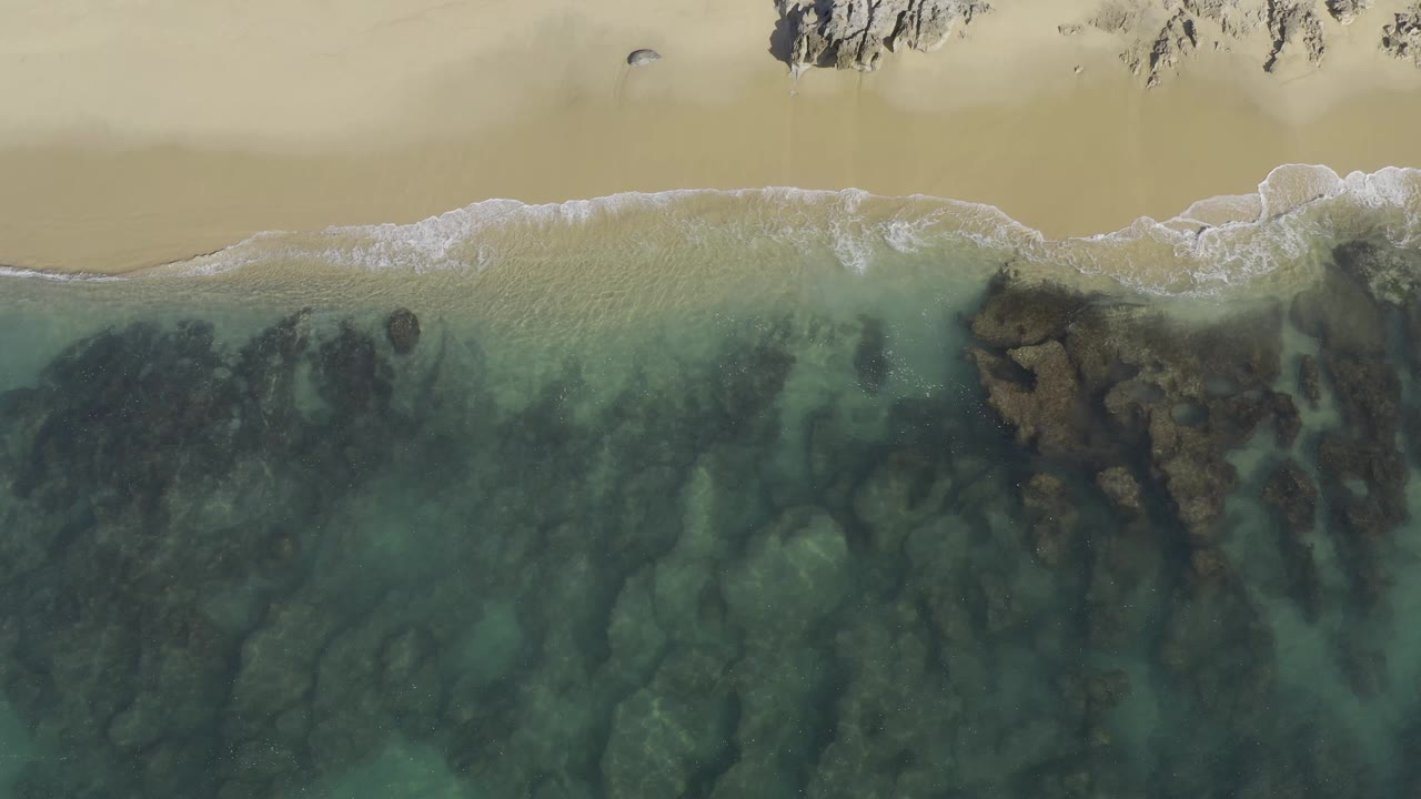 Overhead frame of a Baja California Sur shoreline with pale sand at the top, white surf at the edge, dark rocks under clear green water, and no visible people.