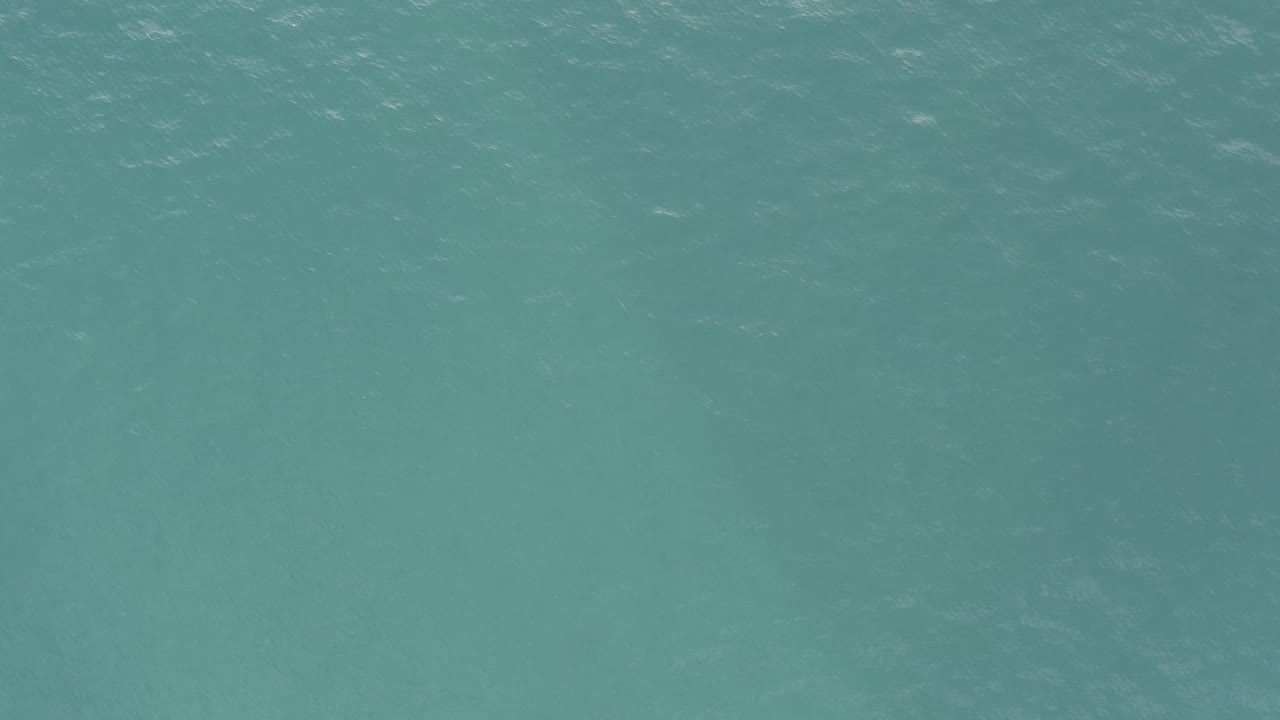 Green ocean surface with faint wave texture.