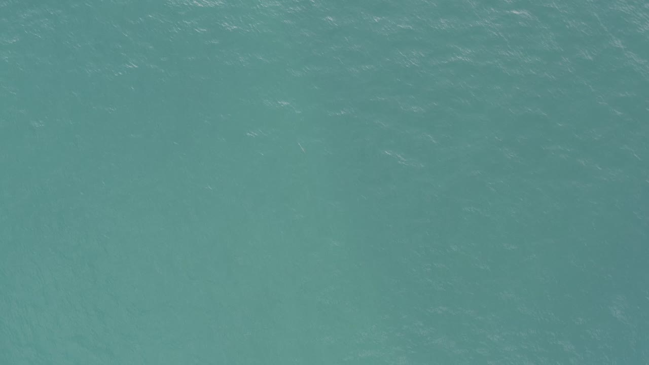 Blue-green open ocean surface in Baja California Sur, Mexico, seen without horizon or shoreline, with soft ripples and no visible people.