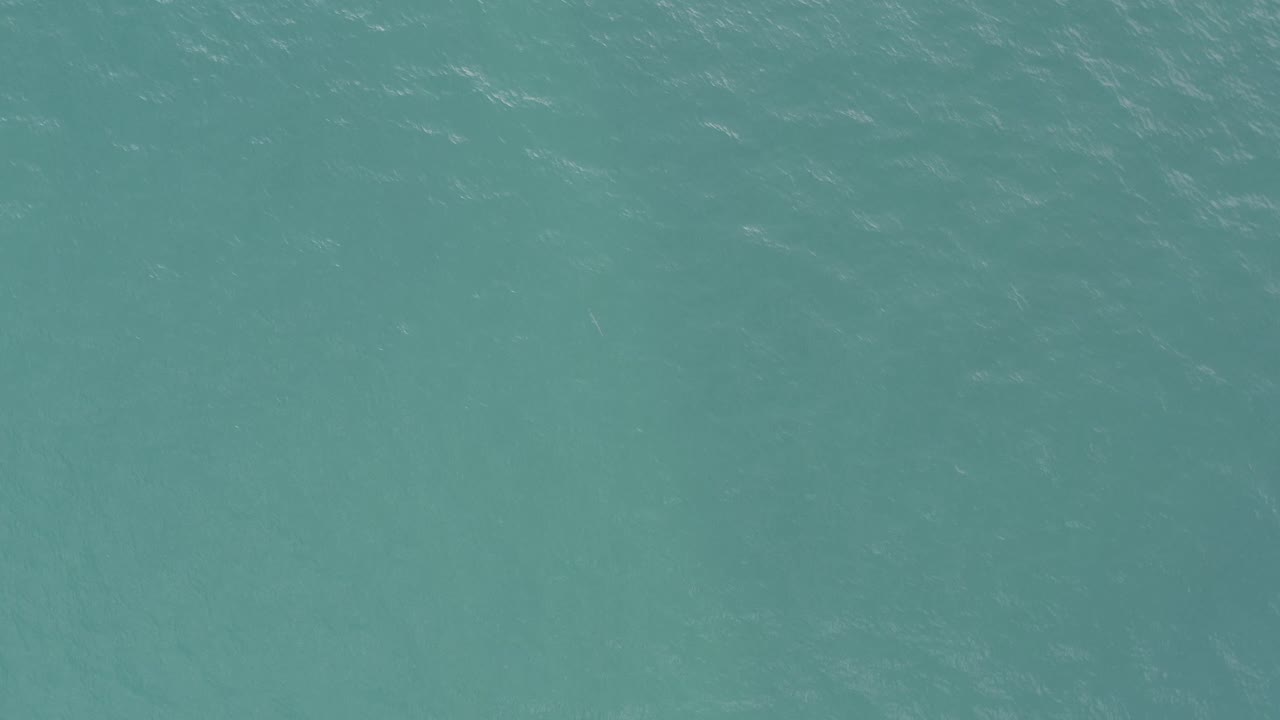 Green-toned ocean surface in Baja California Sur, Mexico, with thin white wave marks crossing the frame and no visible people.