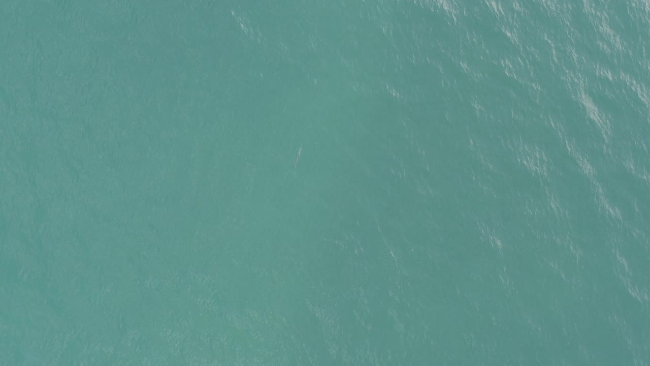 Top-down view of turquoise water in Baja California Sur, Mexico, with fine silver ripples and no visible people.