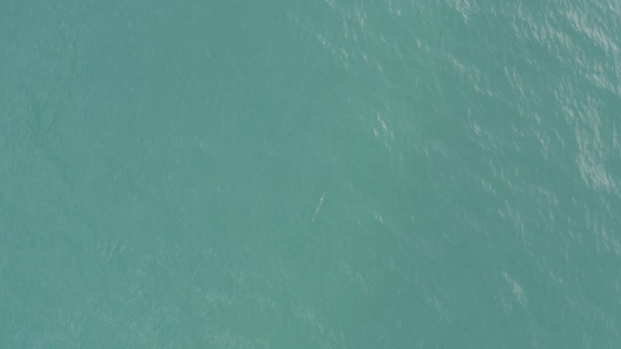 Blue-green ocean water fills the frame in Baja California Sur, Mexico, with scattered white glints, soft surface texture, a faint fish-like form, and no visible people.