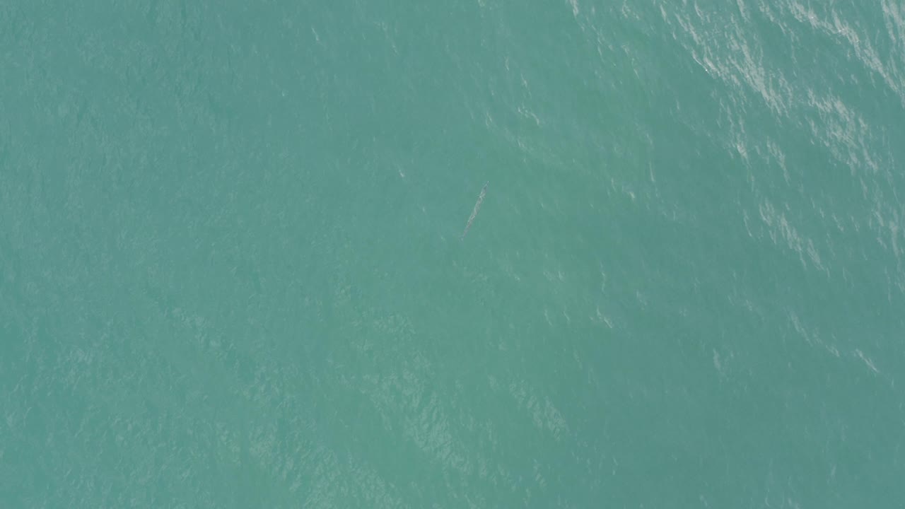 Blue-green ocean surface with pale ripples