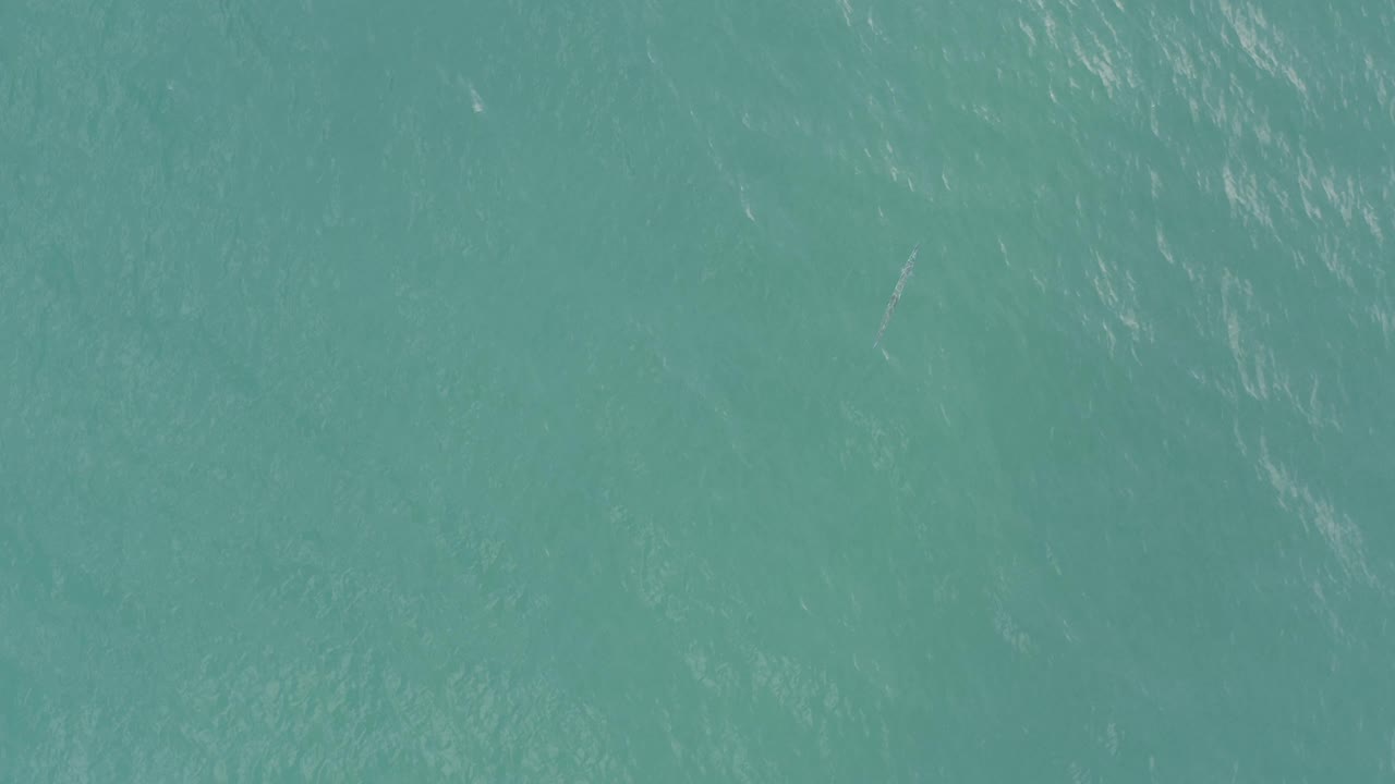Blue-green water from the Baja California Sur clip fills the view, with scattered white ripple marks and no boats, land, or visible people.