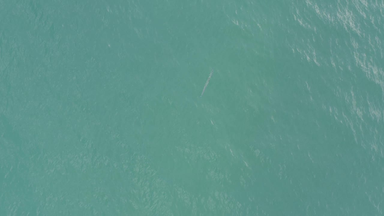 Open ocean water appears slightly darker in this frame, with teal surface variation, fine ripples, and no visible people.