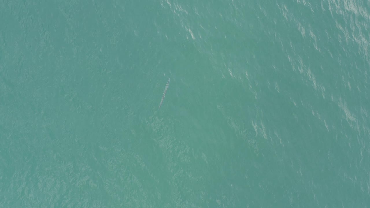 Turquoise water surface with ripples and faint submerged shapes.