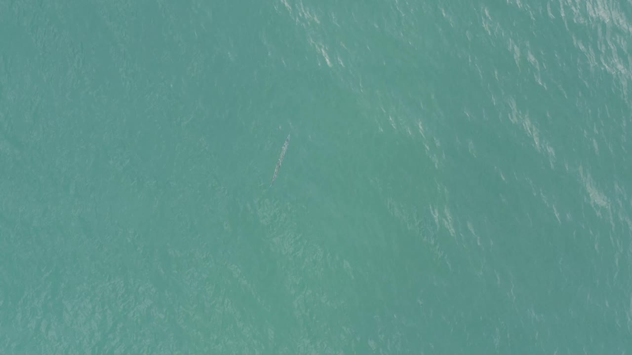 Turquoise water in Baja California Sur, Mexico, with a slender submerged object faintly visible near the upper part of the frame and no visible people.