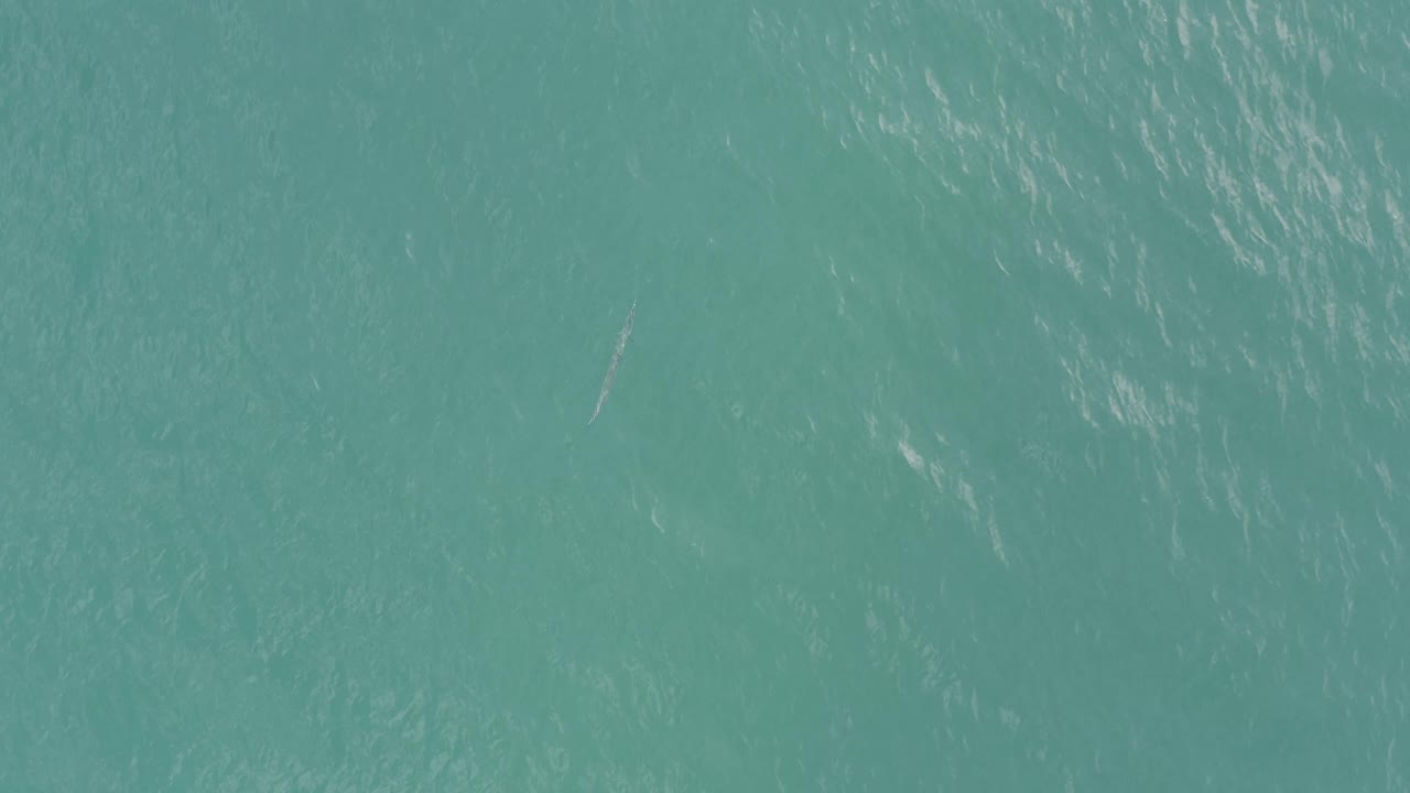 Top-down Baja California Sur water texture with pale ripples across the turquoise surface, no shoreline, and no visible people.