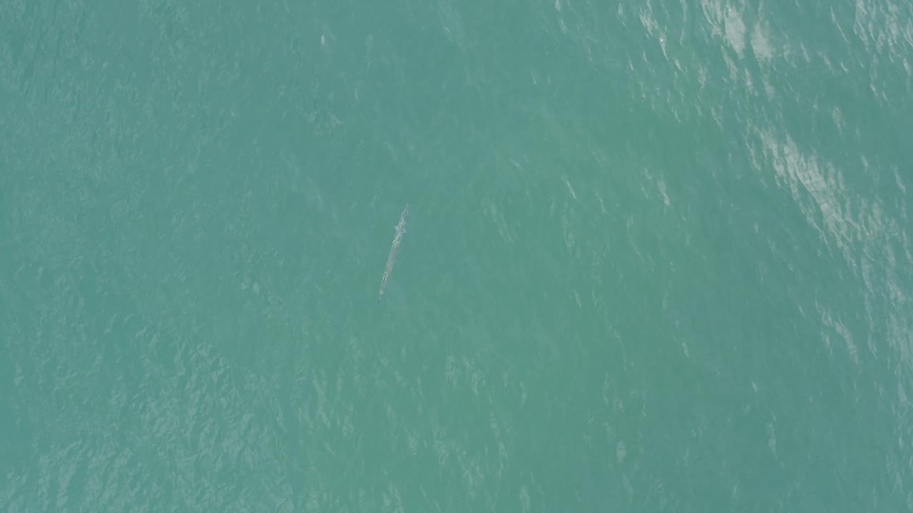 Overhead aquamarine sea surface in Baja California Sur, Mexico with a faint elongated marine subject near the upper center and no visible people.