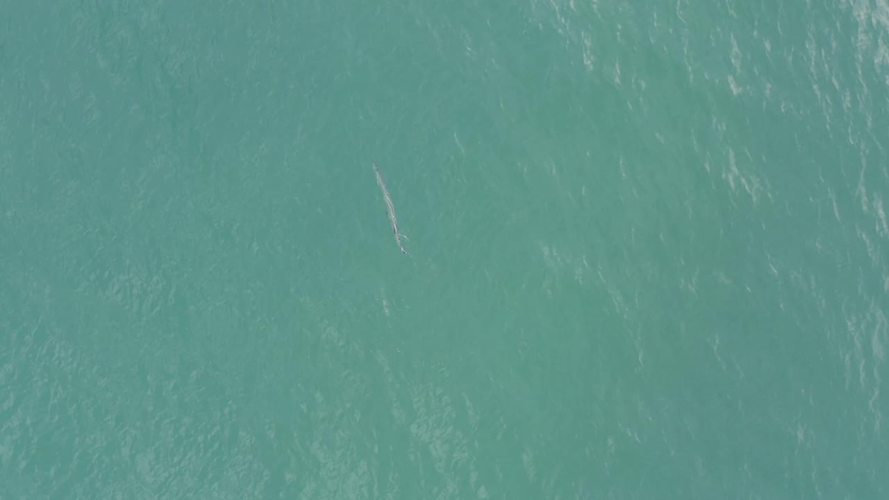 Aerial frame over clear teal water in Baja California Sur Mexico, showing rippled light patterns and a narrow pale marine shape slightly right of center with no visible people.