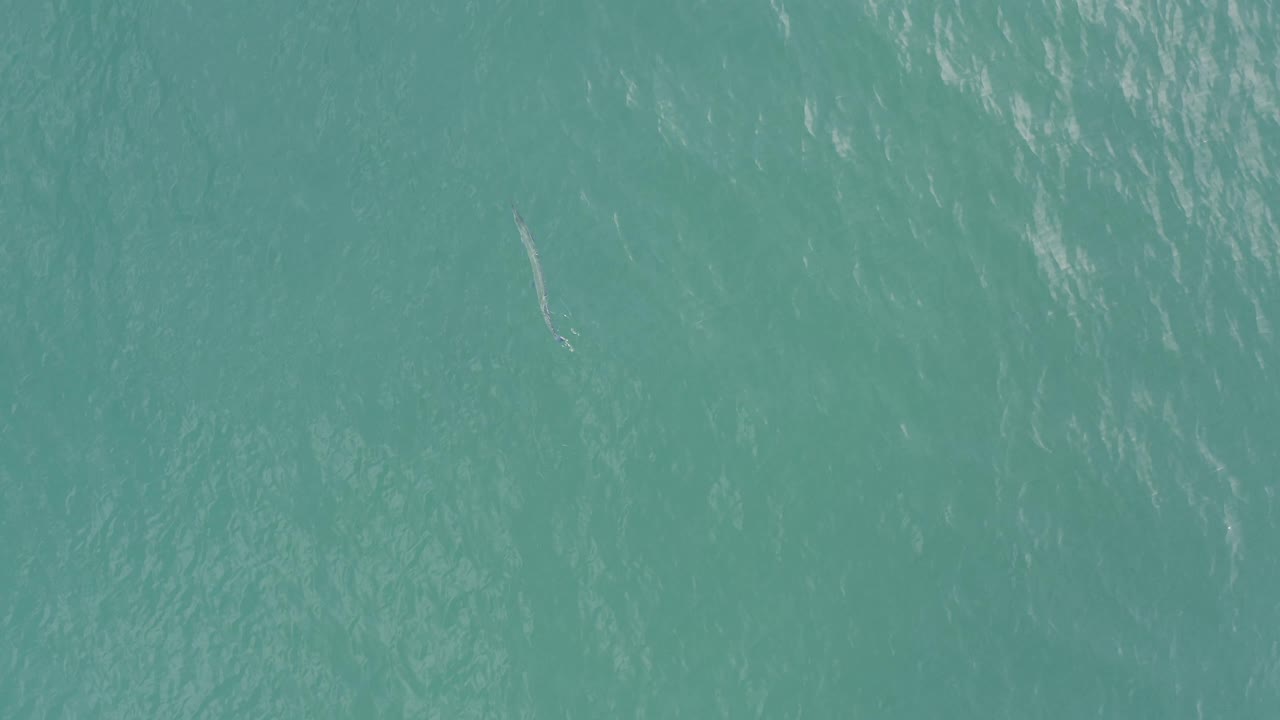 Top-down Baja California Sur Mexico ocean view with bright ripples across turquoise water and a slim pale form nearer the upper right portion, with no visible people.