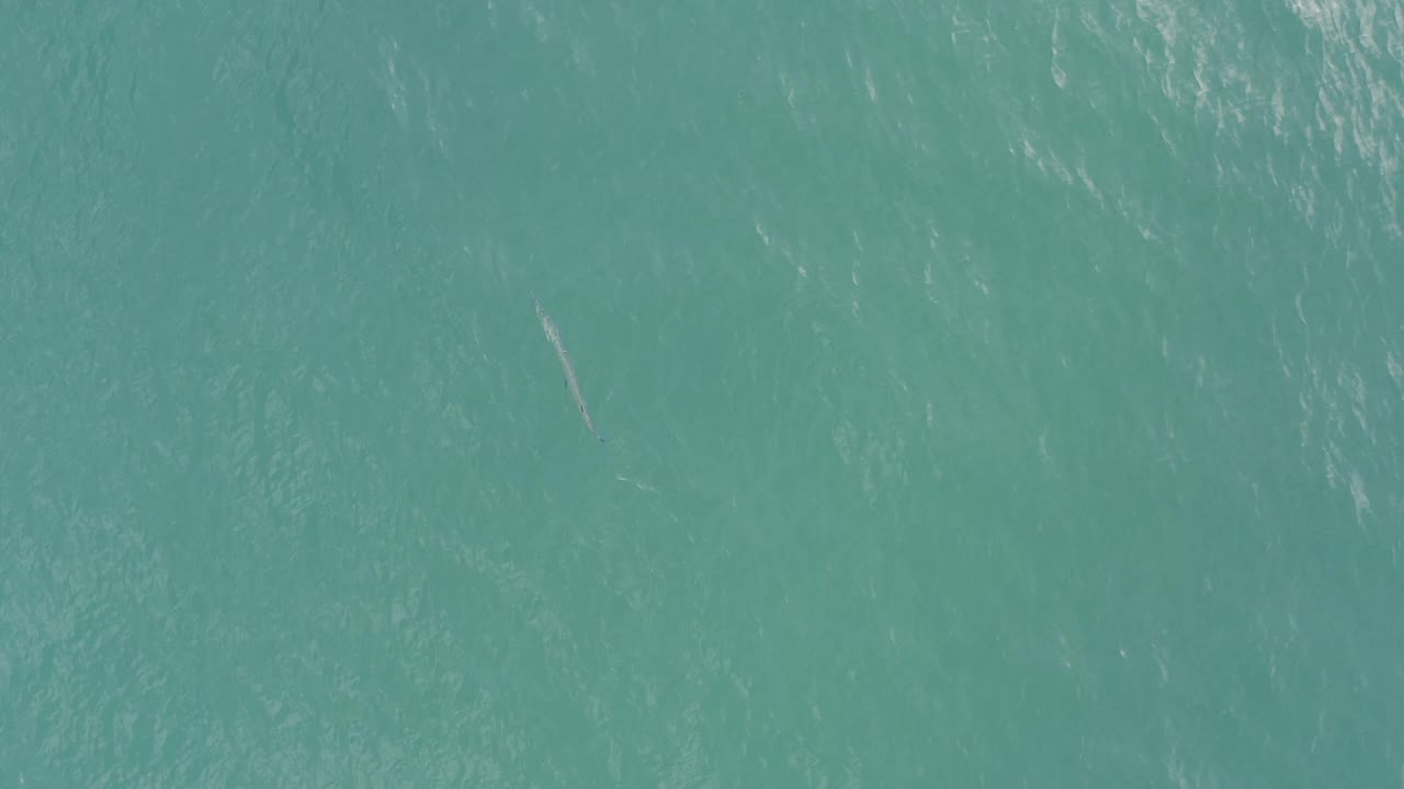 Aerial view of teal ocean in Baja California Sur Mexico with textured surface ripples and a small pale fish-like line toward the left side, with no visible people.