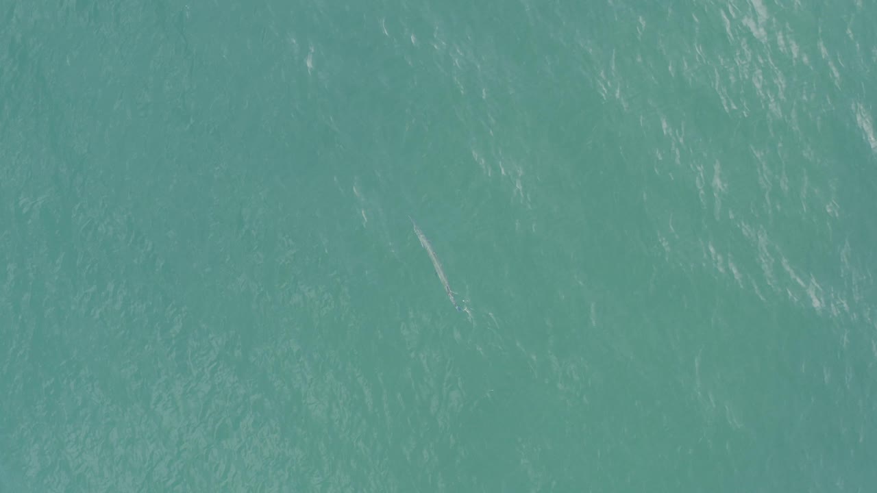 Opening frame of turquoise ocean water in Baja California Sur, Mexico, with light streaks on the rippled surface and no visible people.